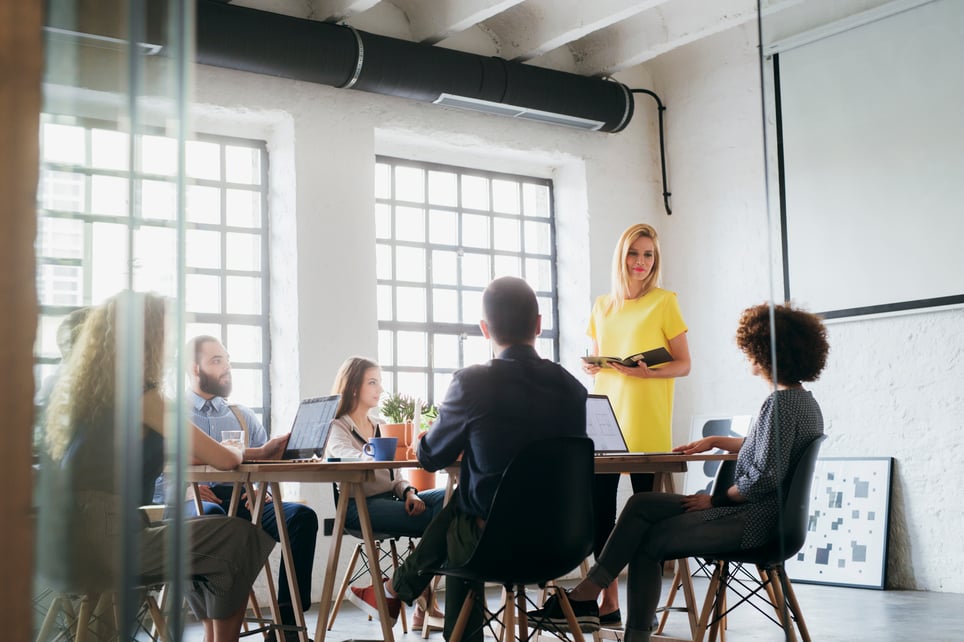 Businesswoman Making A Presentation To Her Colleagues-how-to-not-be-nervous-for-a-presentation